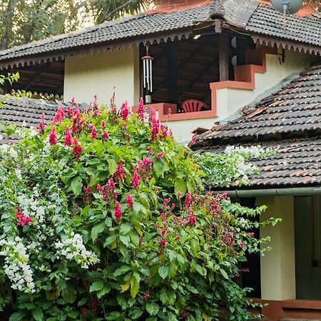 Vichondrem Mangaal Farmstay Goa מראה חיצוני תמונה