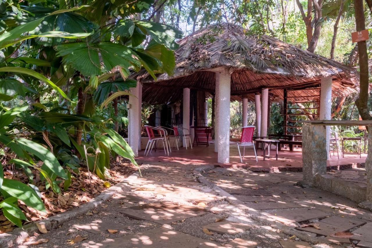 Vichondrem Mangaal Farmstay Goa מראה חיצוני תמונה