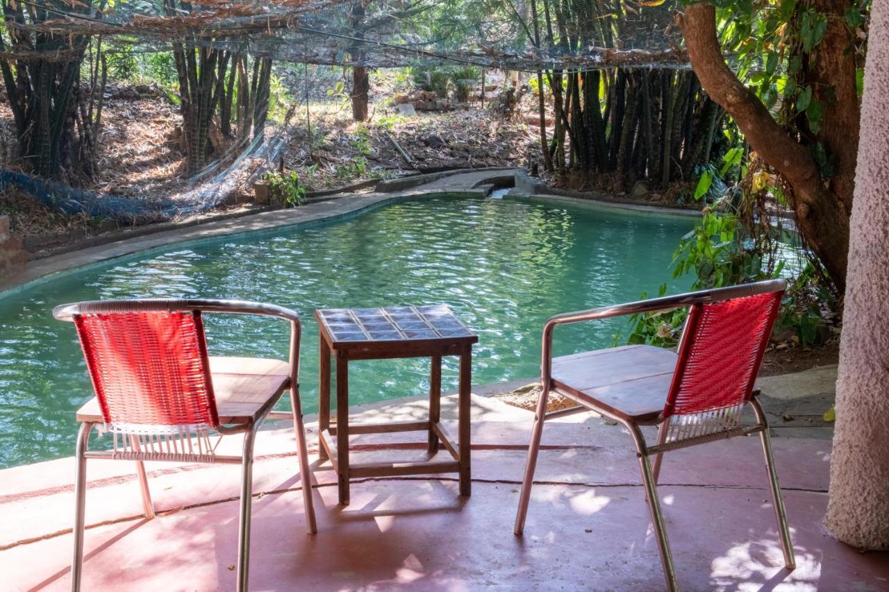 Vichondrem Mangaal Farmstay Goa מראה חיצוני תמונה