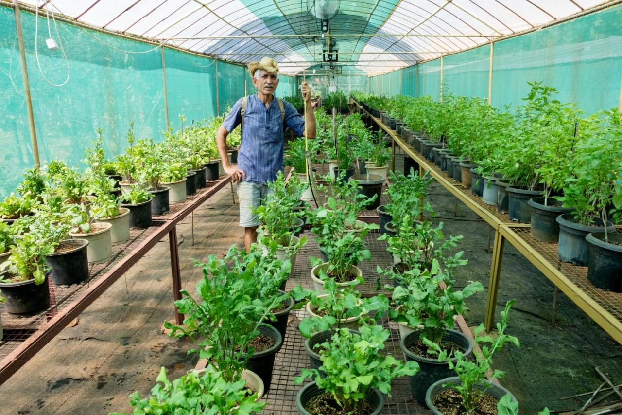 Vichondrem Mangaal Farmstay Goa מראה חיצוני תמונה