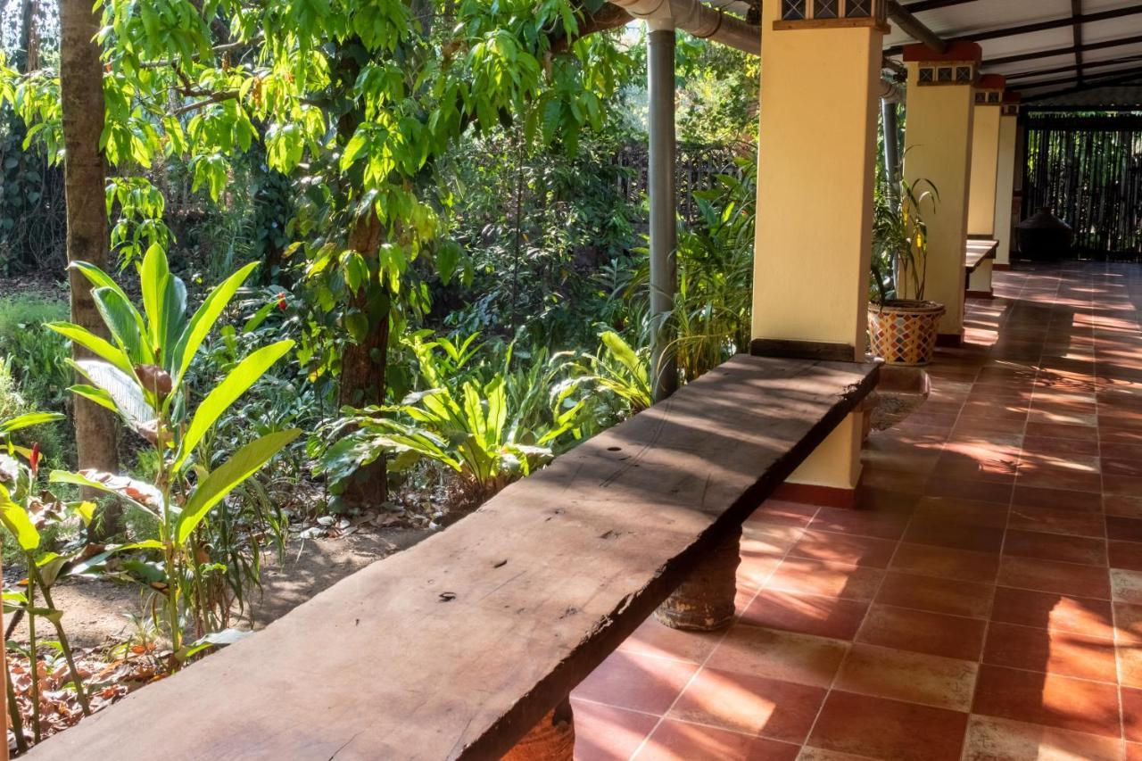 Vichondrem Mangaal Farmstay Goa מראה חיצוני תמונה