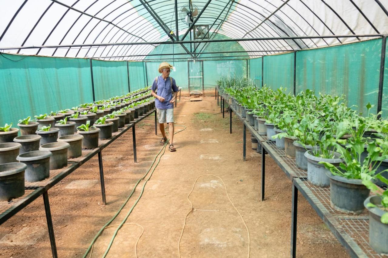 Vichondrem Mangaal Farmstay Goa מראה חיצוני תמונה
