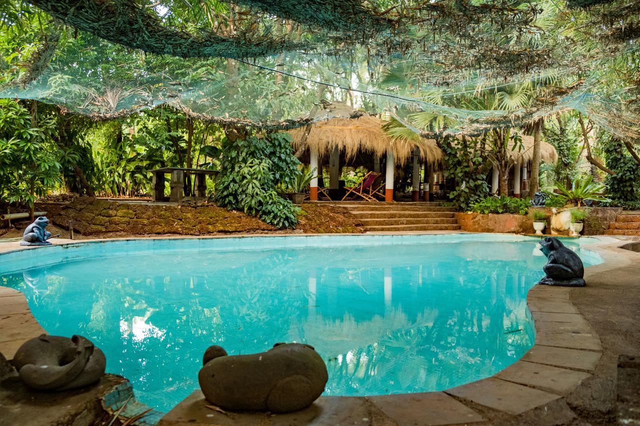Vichondrem Mangaal Farmstay Goa מראה חיצוני תמונה