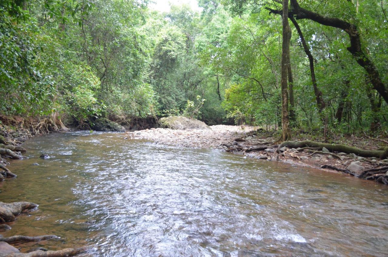 Vichondrem Mangaal Farmstay Goa מראה חיצוני תמונה
